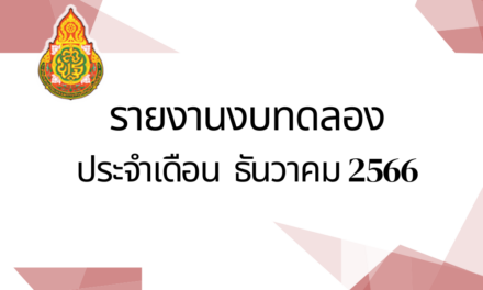 รายงานงบทดลองประจำเดือนธันวาคม 2566