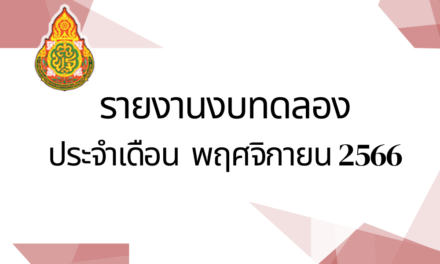 รายงานงบทดลองประจำเดือนพฤศจิกายน พ.ศ.2566