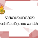 รายงานงบทดลอง ประจำเดือน มิถุนายน 2568