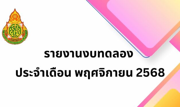 รายงานงบทดลอง ประจำเดือน พฤศจิกายน 2568