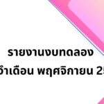 รายงานงบทดลอง ประจำเดือน พฤศจิกายน 2568